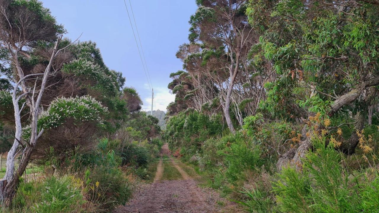 Cape Howe Cottages Lowlands Bagian luar foto